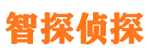 陵水寻人公司